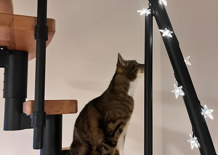 Grabina Prázdninový dům *